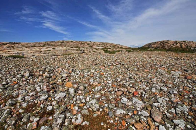 tjurpannans naturreservat.jpg